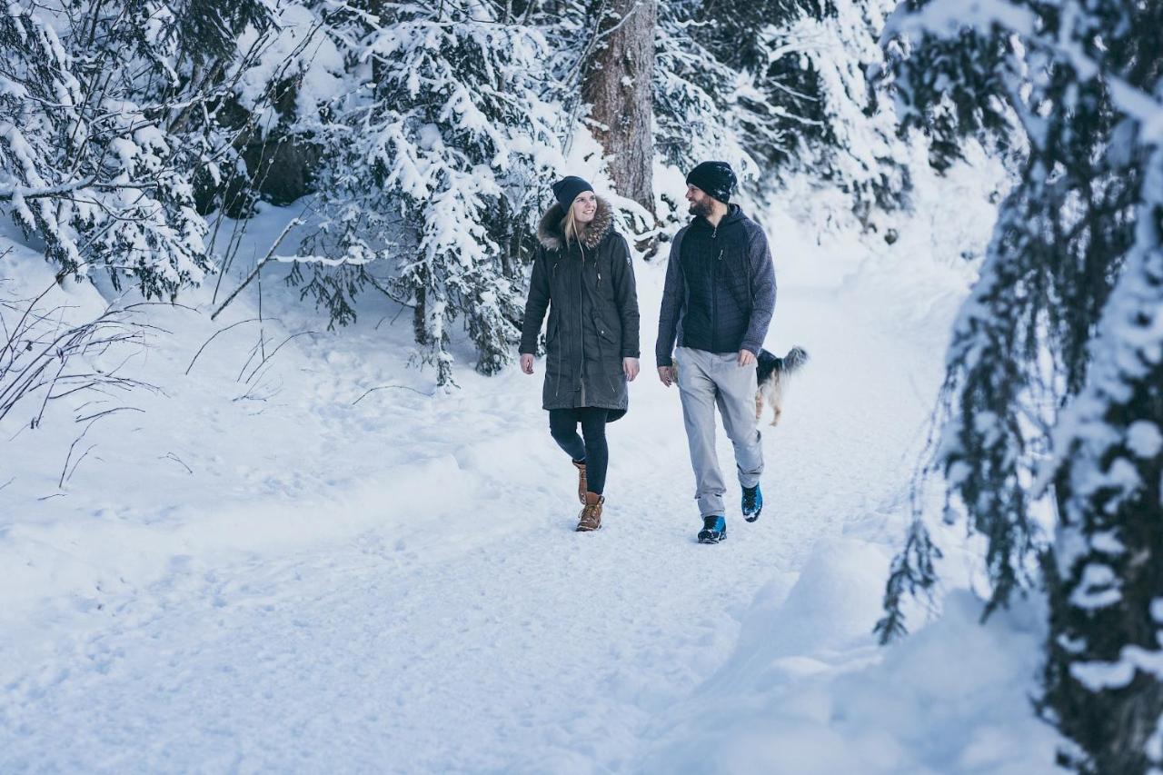 Appartement Josefine ブラームベルク・アム・ヴィルトコーゲル エクステリア 写真